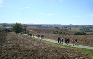 68dfbf60926ef_DSC07801.JPG