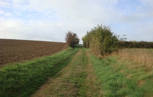 68e3a6f05a5be_DSC07815.JPG
