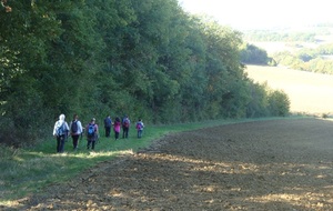 68ebc3aad9ca0_DSC07879.JPG