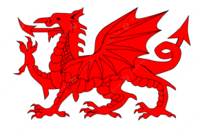 Venue des Gallois de Llanelli