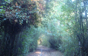 Rando à AUBIAC Dimanche 12 octobre 