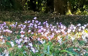 Rando à CARDONNET  vendredi 17 octobre