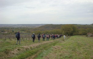 Rando à MOIRAX jeudi 13 novembre