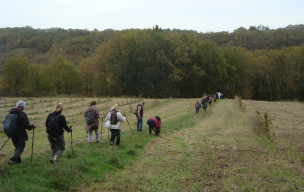 Rando à MOIRAX jeudi 13 novembre
