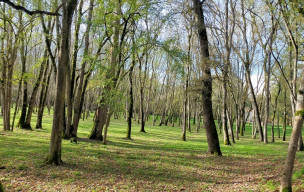 Rando à CUQ dimanche 16 novembre