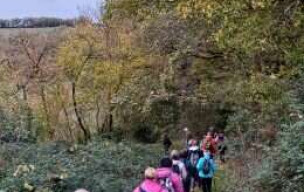 Rando à St JULIEN jeudi 20novembre