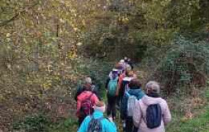 Rando à St JULIEN jeudi 20novembre