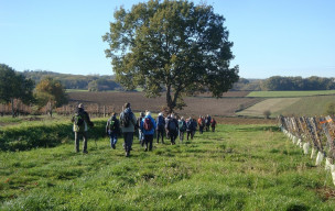 Rando à MONTGAILLARD jeudi 27 novembre