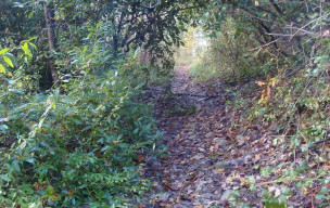 Rando à AGEN- MONBRAN Jeudi 4 décembre