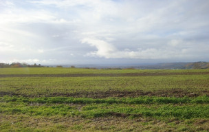 Rando à AGEN- MONBRAN Jeudi 4 décembre