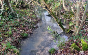 Rando  La CROIX BLANCHE Vendredi 5 décembre
