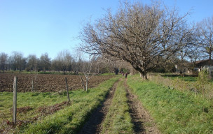 Rando à Colayrac St Cirq Dimanche 4 janvier 2026