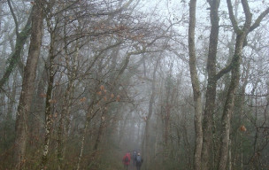 Rando dimanche 11 janvier à Bon Encontre