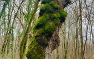 Rando à MOIRAX Mercredi 14 janvier Bravo et Merci à Murielle et Nathalie