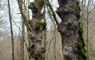 Rando à MOIRAX Mercredi 14 janvier Bravo et Merci à Murielle et Nathalie