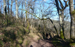 Rando remise en forme à St GERMAIN vendredi 23 janvier 2026