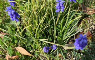 Rando à LAROQUE TIMBAUT vendredi 13 mars