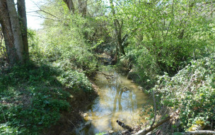 Rando à Aubiac vendredi 20 marsLe soleil, la chaleur et la bonne humeur étaient au rendez-vous de cette première journée de printemps pour cette rando de maintien en forme d'Aubiac.  Nous étions 16 (3 hommes et 13 femmes) et nous avons avalé sans difficul