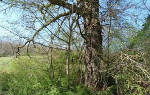 Rando à Aubiac vendredi 20 marsLe soleil, la chaleur et la bonne humeur étaient au rendez-vous de cette première journée de printemps pour cette rando de maintien en forme d'Aubiac.  Nous étions 16 (3 hommes et 13 femmes) et nous avons avalé sans difficul