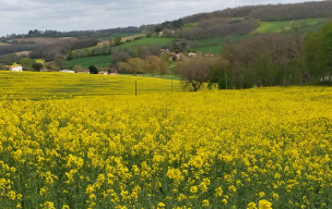 Rando à Pleichac Vendredi 3 avril
