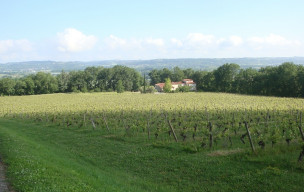 Rando Gourmande à BRUCH Jeudi 7 mai