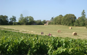Rando à Pasquières dimanche 14 juin