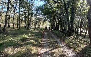 Rando à Tournon d'Agenais Dimanche 15 septembre 