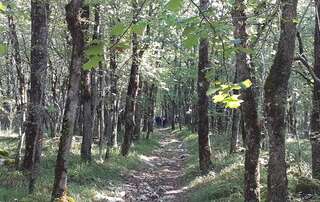 Rando à Tournon d'Agenais Dimanche 15 septembre 