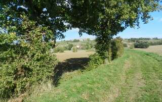 Rando à MONTAGNAC SUR AUVIGNON jeudi 24 octobre 2024