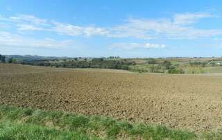 Rando à MONTAGNAC SUR AUVIGNON jeudi 24 octobre 2024