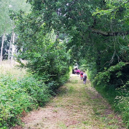 Rando à SOS Dimanche 31 mai