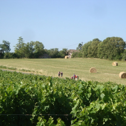 Rando à Pasquières dimanche 14 juin