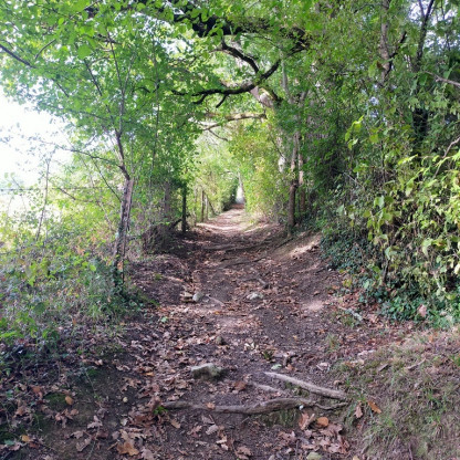 Rando à MONBRAN Jeudi 22 octobre