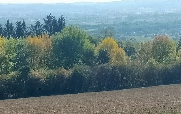 Rando à CARDONNET  vendredi 17 octobre