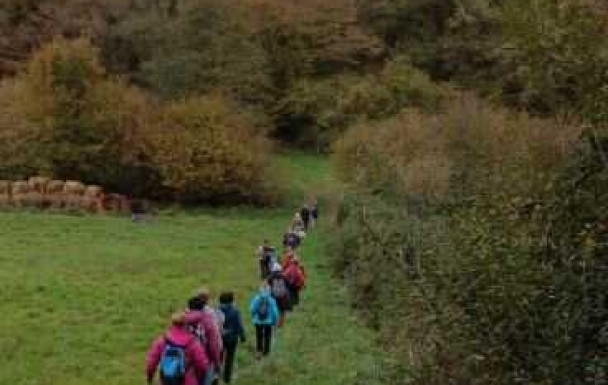 Rando à St JULIEN jeudi 20novembre