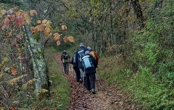 Rando à GOULENS vendredi 28 novembre