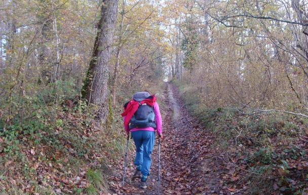 Rando à BLAYMOND dimanche 30 novembre