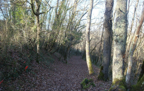 Rando à St Jean de Thurac Dimanche 28 décembre