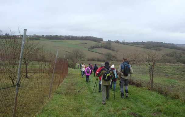 Rando jeudi 8 janvier à MONCAUT