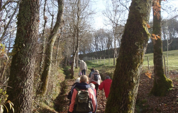 Rando à St Caprais de Lerm jeudi 15 janvier