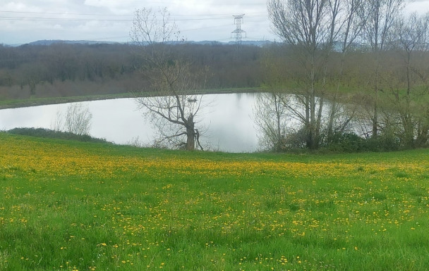 Rando à LACEPEDE dimanche 8 mars