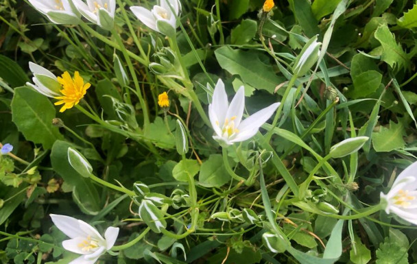 Rando à Ste BEAUZEIL (82) jeudi 12 mars