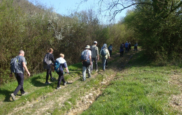 Rando à St Pierre de Clairac jeudi 19 mars