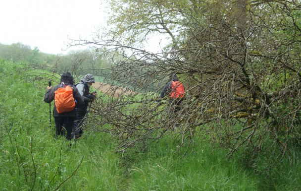 Rando à St Maurin dimanche 12 avril