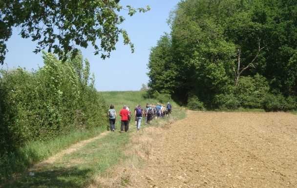Rando à La CROIX BLANCHE jeudi 23 avril
