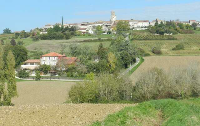 Rando à MONTAGNAC SUR AUVIGNON jeudi 24 octobre 2024